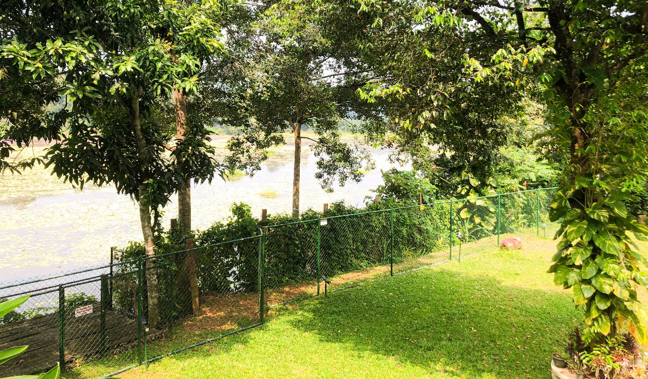 WhatsApp Image 2024-07-14 at 09.29.05 Unique Boutique Villa For Sale in Bandaragama