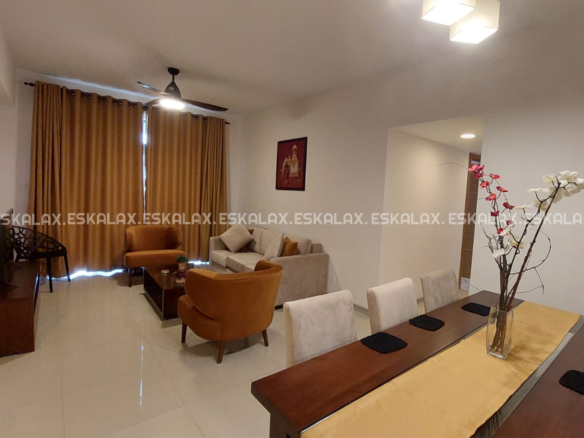 Brand New Apartment For Rent in Havelock City